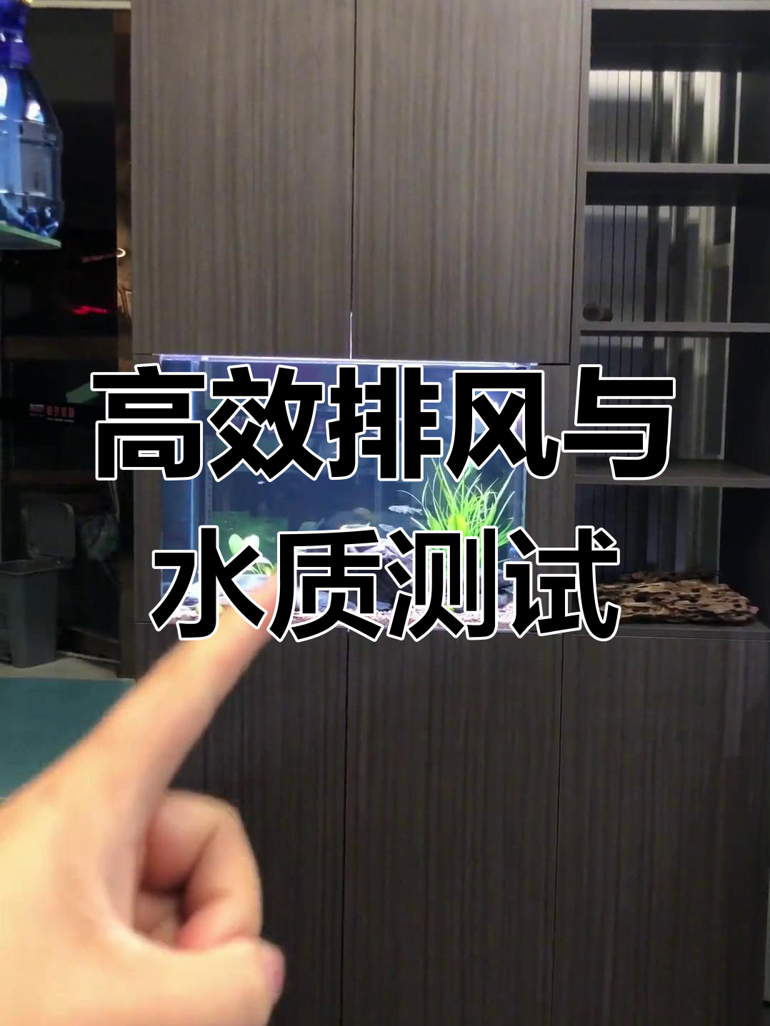 双面隔断鱼缸通风与过滤效果实测