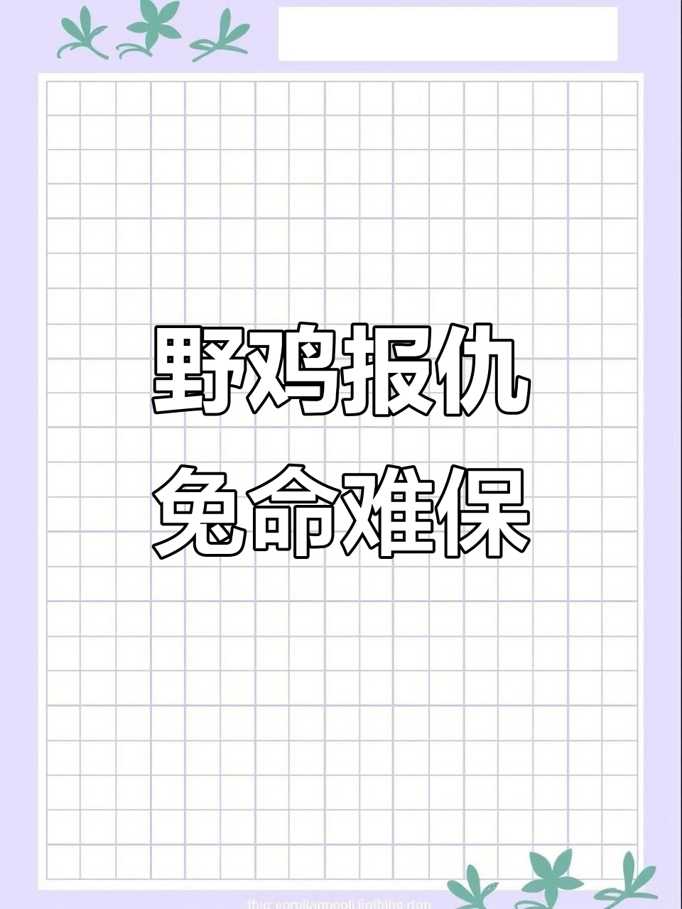 野鸡如何报复破坏沙窝的兔子？竟能致命！