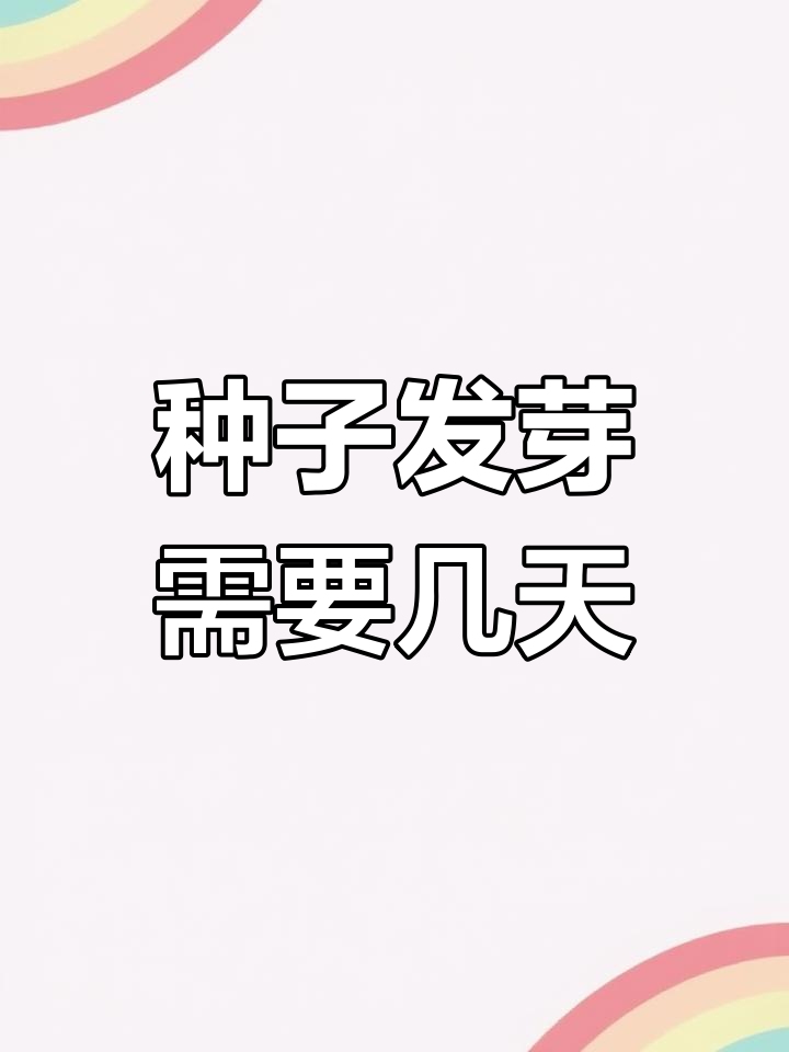 种子播种后多久能发芽?蔬菜种植技巧大公开