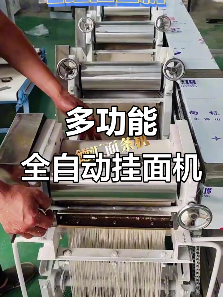 大型多功能挂面机,商用鲜面条生产利器