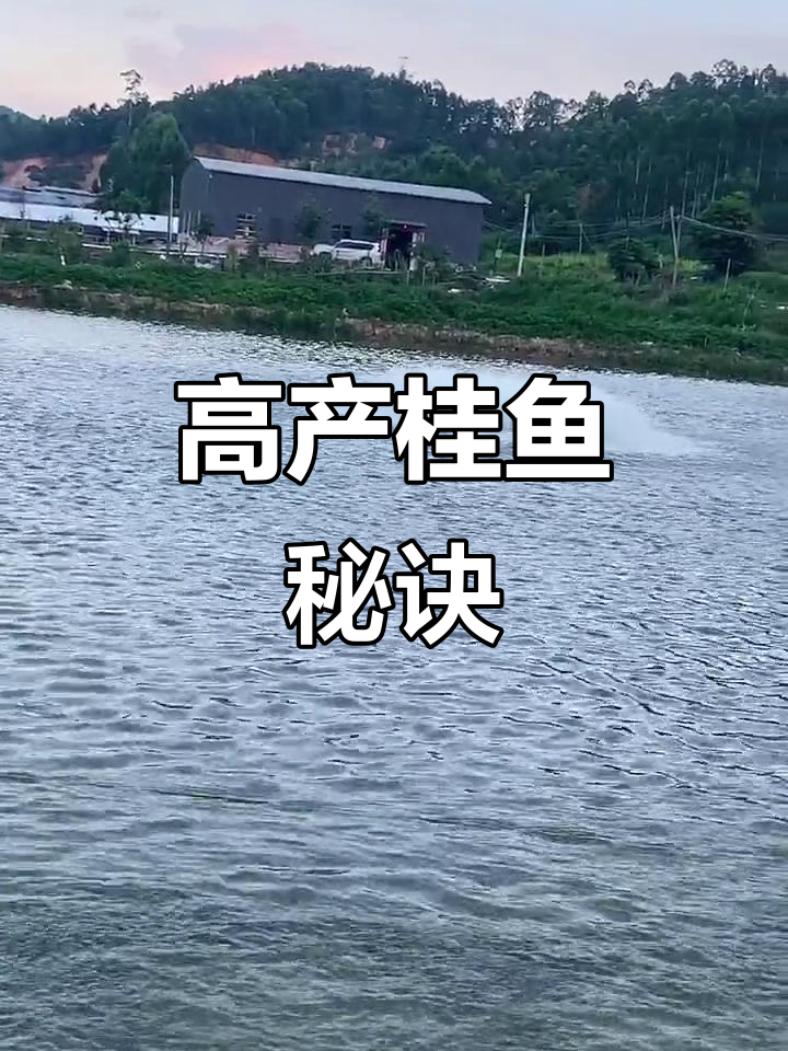 七亩鱼塘,百万产值,增氧机助力高效养殖!