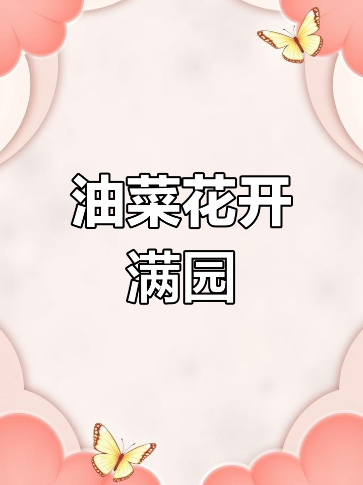 深圳光明欢乐田园油菜花海,1500亩春日美景等你来赏