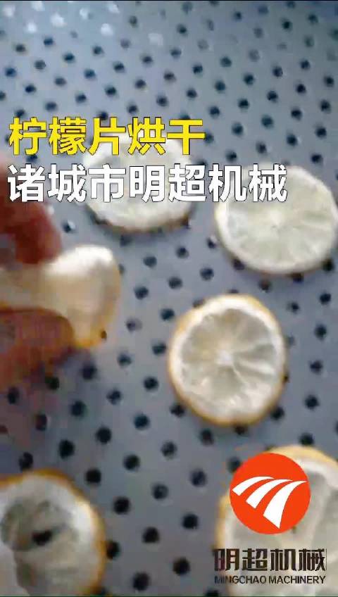 柠檬片烘干房设有单车单门、双门双开、双门四车等,采购前可订购两套小车和烤盘,方便在烘干的过