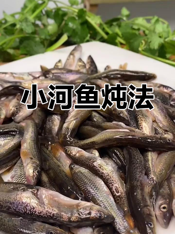 冬季东北小河鱼酱焖做法,干辣椒和鲜辣酱让味道更赞