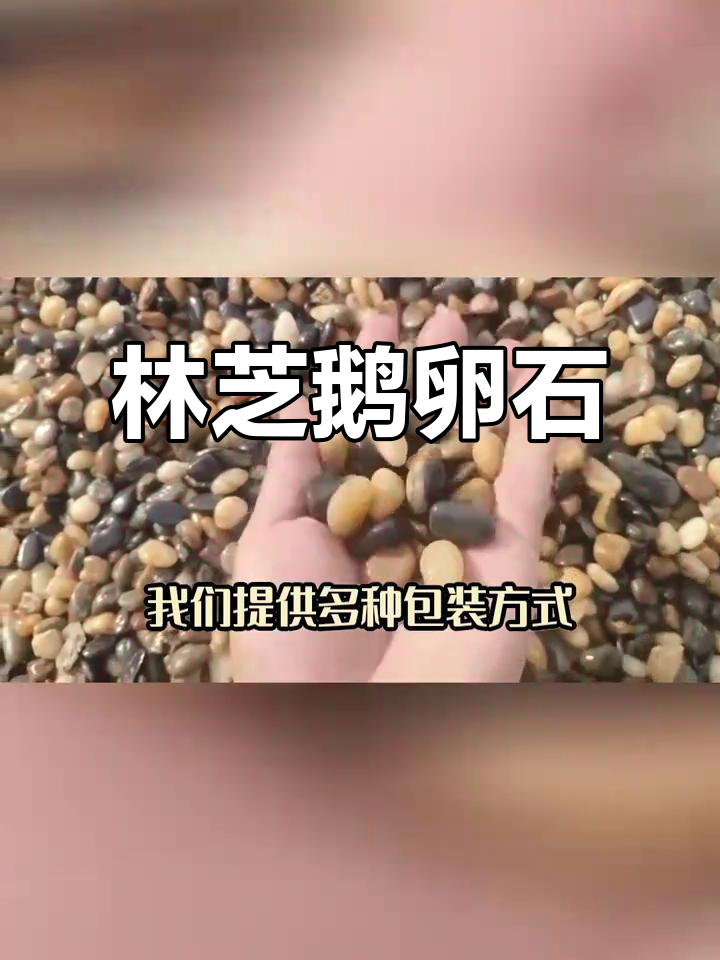 西藏林芝鹅卵石,园林建筑与污水处理理想材料