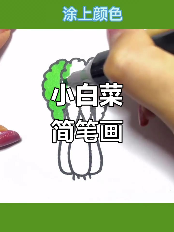 画出美羊羊、懒羊羊和沸羊羊，白菜也能变可爱！