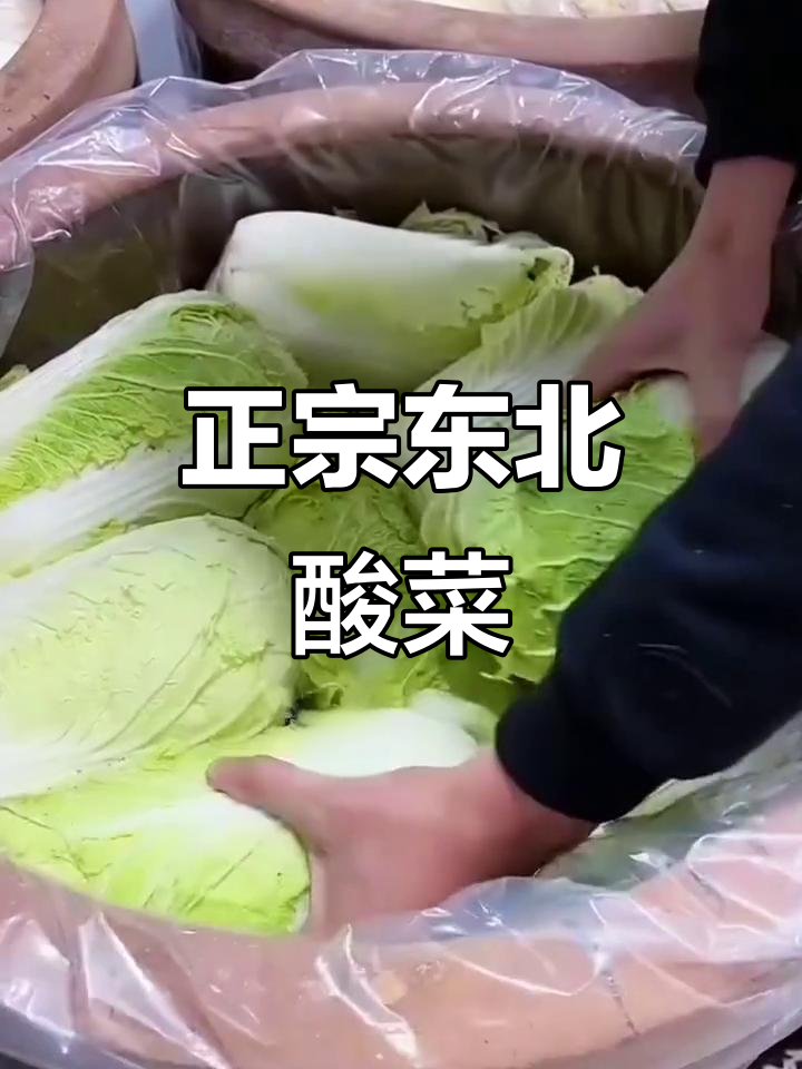 东北酸菜的独特做法,白肉血肠搭配最美味