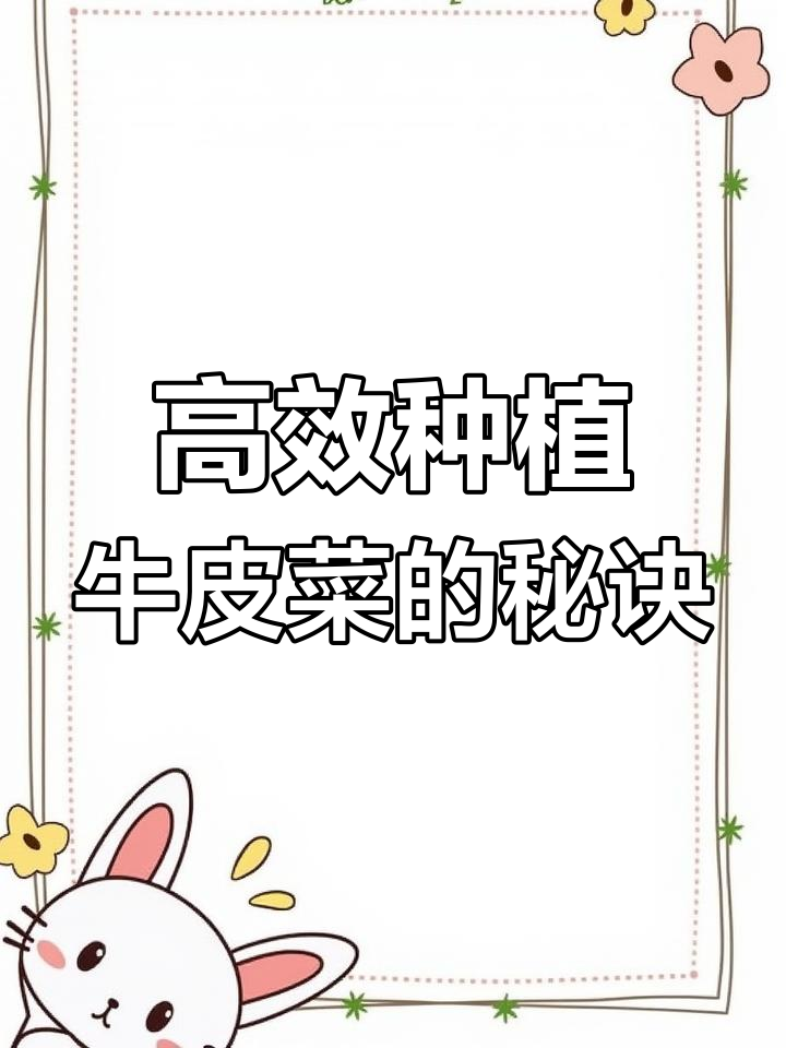 牛皮菜种植技巧:从育苗到采收全攻略