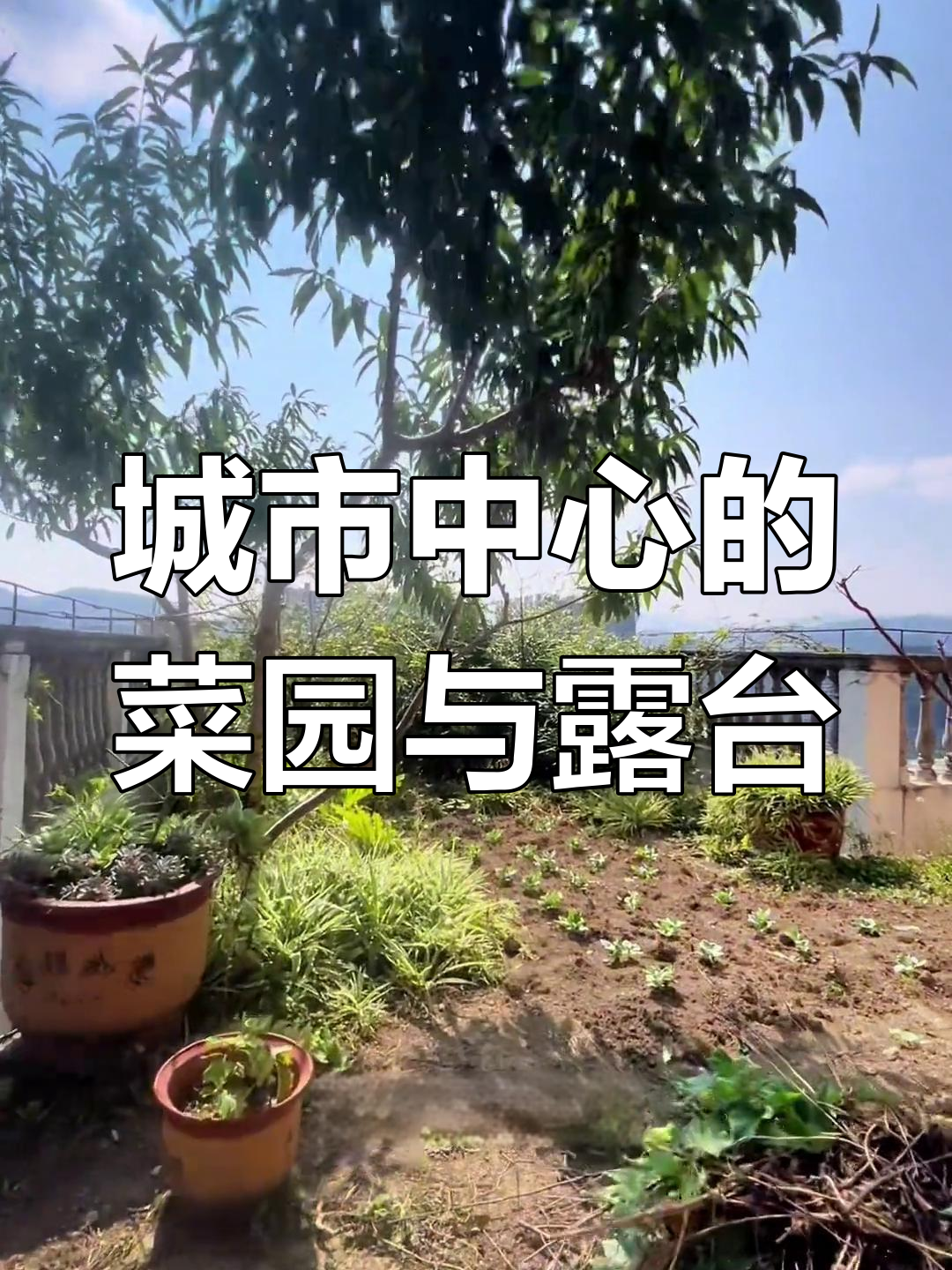 都市中的菜园与花园,顶楼复式带来别样生活体验