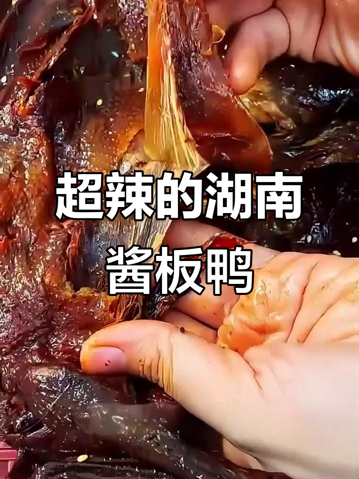 湖南酱板鸭,辣味十足让人停不下来,越嚼越香!