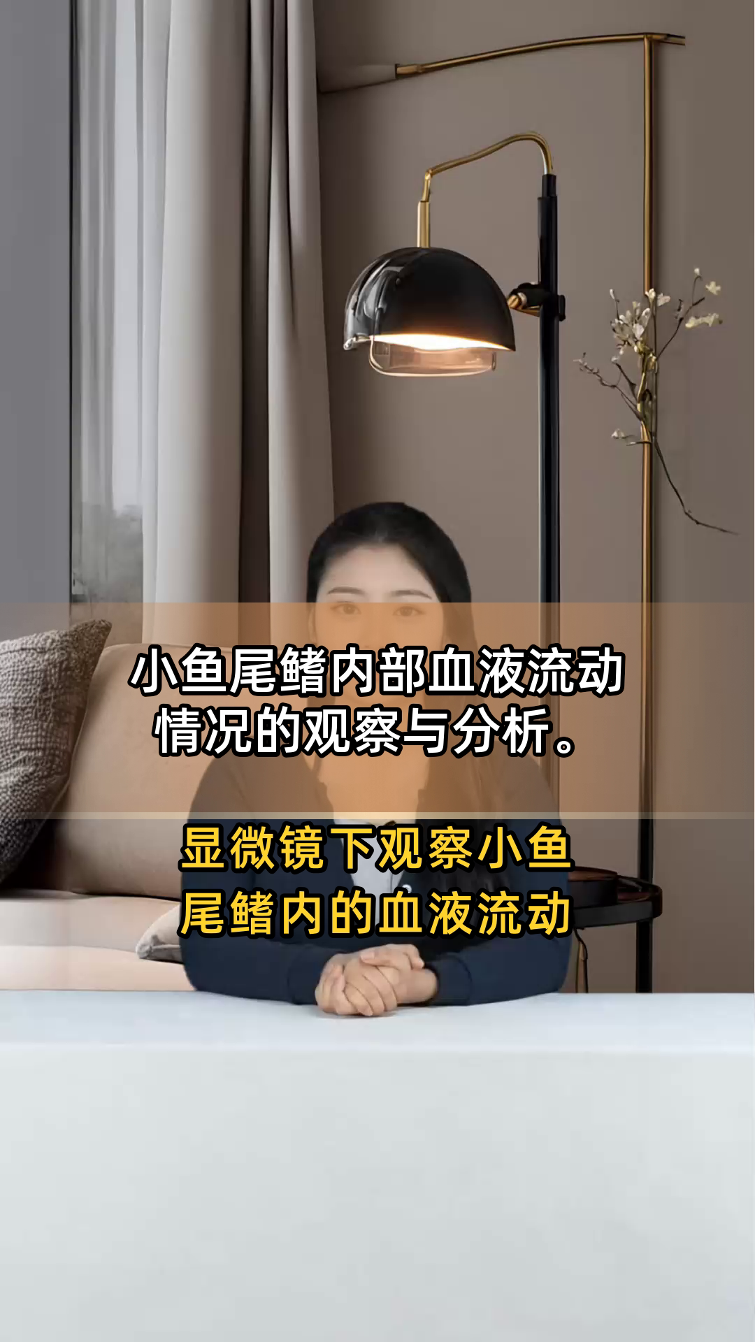 小鱼尾鳍内部血液流动情况的观察与分析