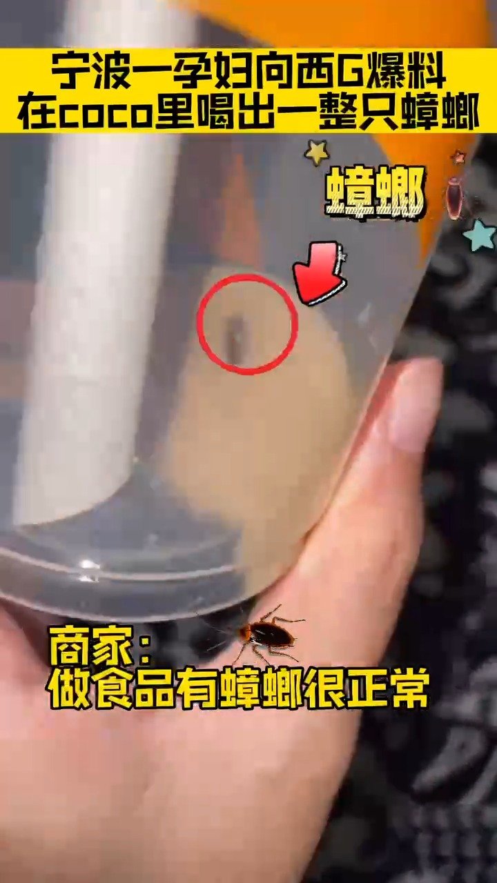 宁波身边事「宁波一孕妇在coco奶茶喝到蟑螂「惊哭」商家:做食品有蟑螂很正常「衰」」网友投
