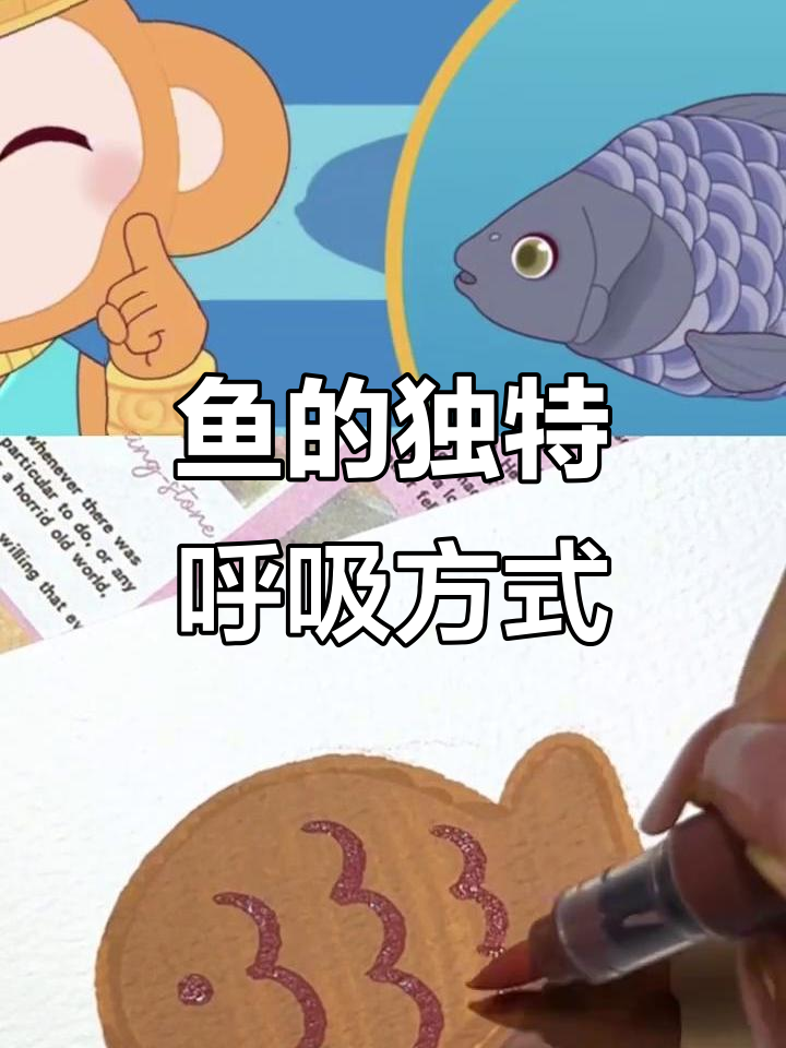 鱼如何通过鳃呼吸?揭秘它们的特殊器官
