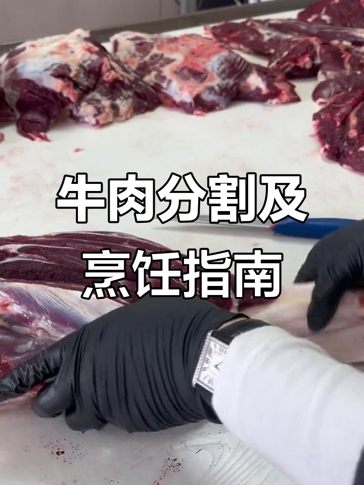 牛腱子与梅花肉分割技巧,卤炖红烧全攻略