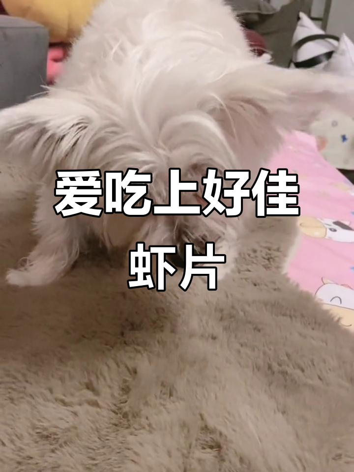 不爱吃薯片,却爱上好佳虾片的独特味道