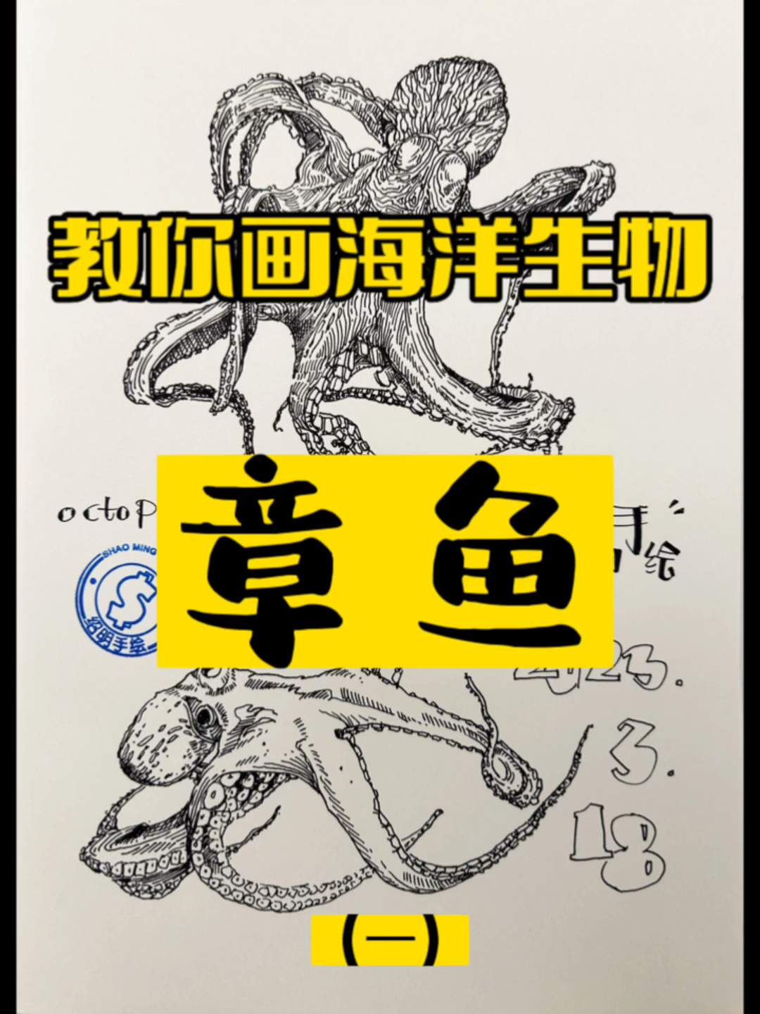 教你画海洋生物-章鱼(一)