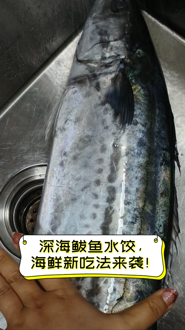 深海鲅鱼水饺，海鲜新吃法来袭！