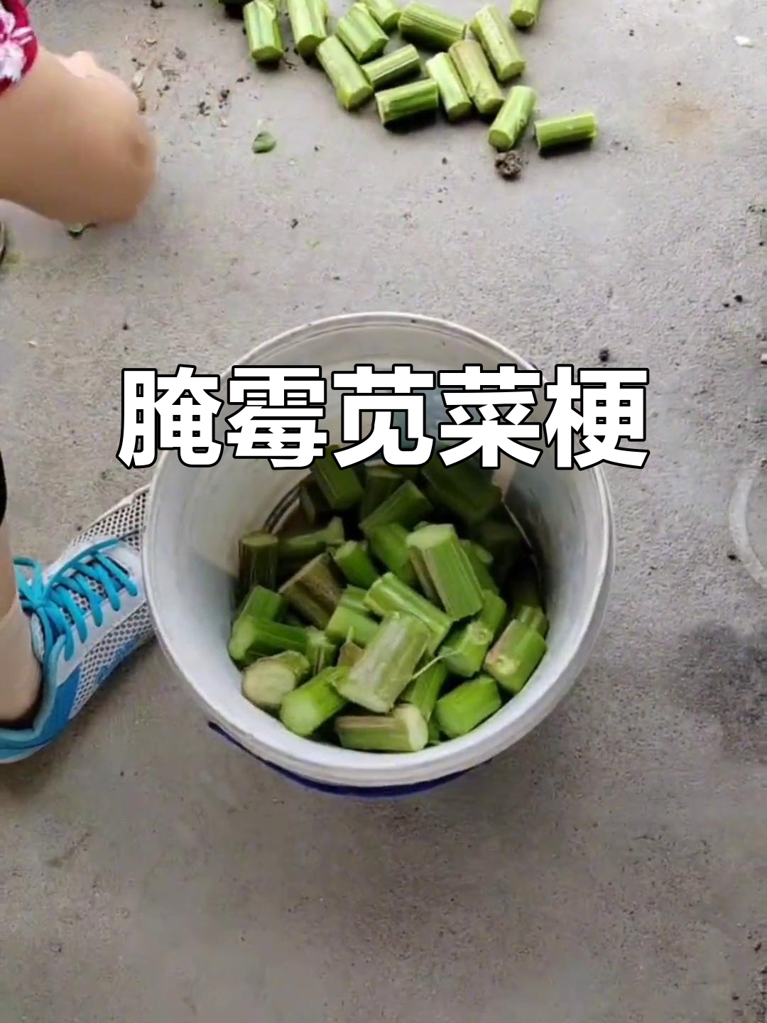 腌制霉苋菜梗,舌尖上的独特风味