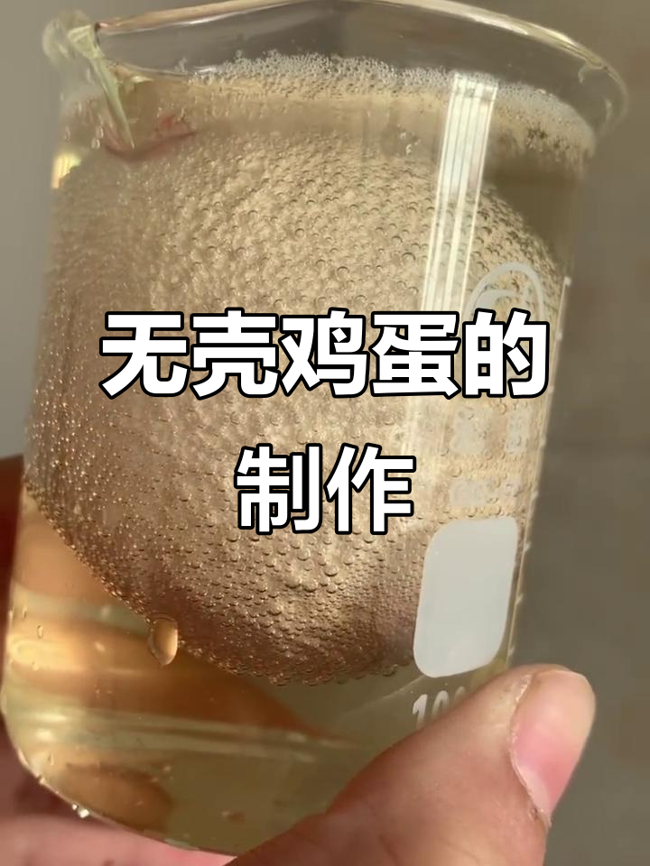 家庭小实验:制作无壳鸡蛋,竟然这么有趣!