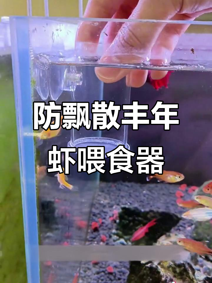 丰年虾喂食器让鱼缸更干净,防止水浑浊