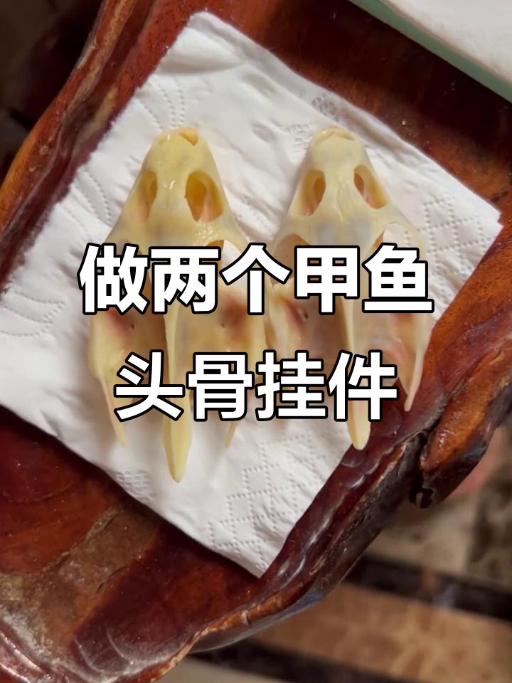 甲鱼头骨挂件制作,脱脂过程大揭秘