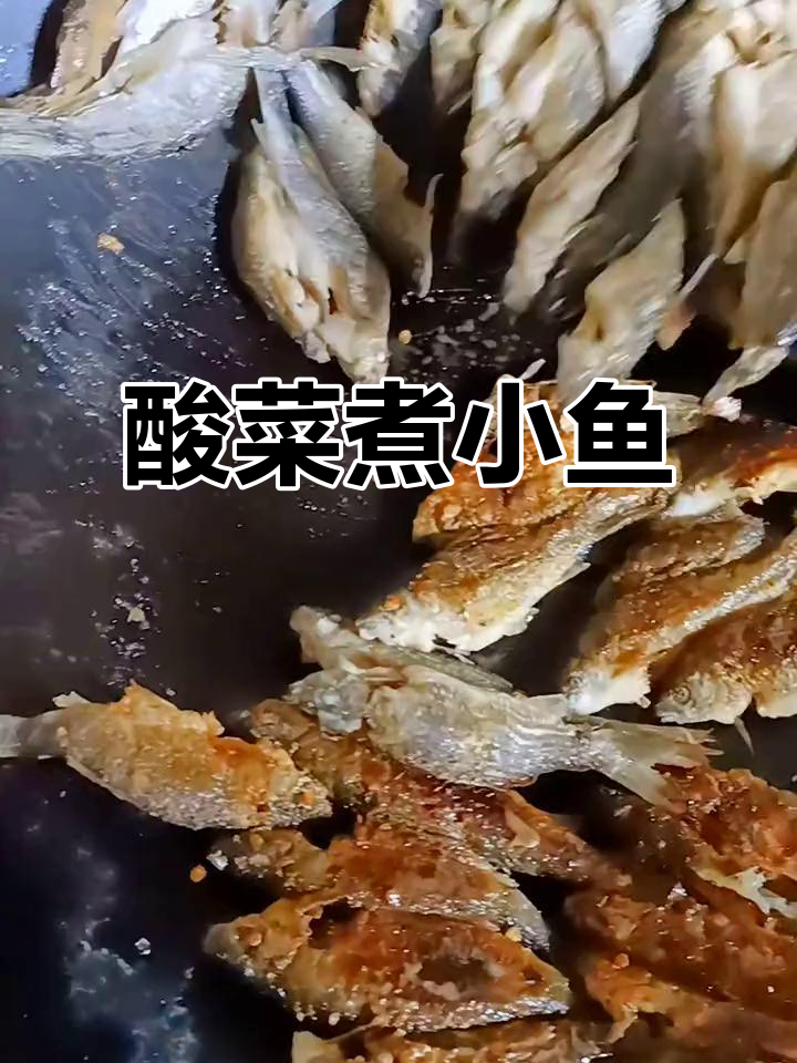 今晚酸菜煮小鱼,土鸡和野生鱼你选哪个?