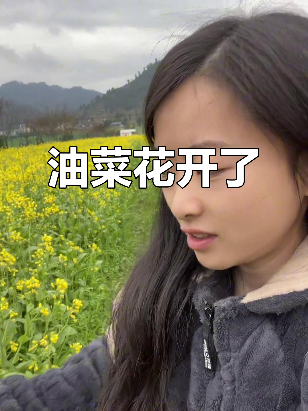 冬季油菜花开,雪中打卡正当时!