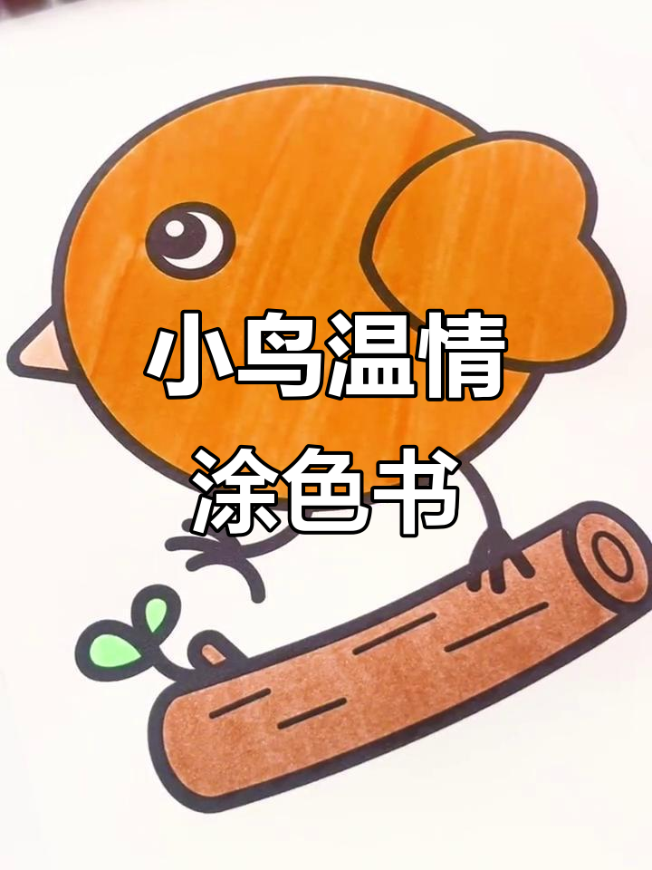 50款创意涂色书,带你走进温暖的小鸟世界