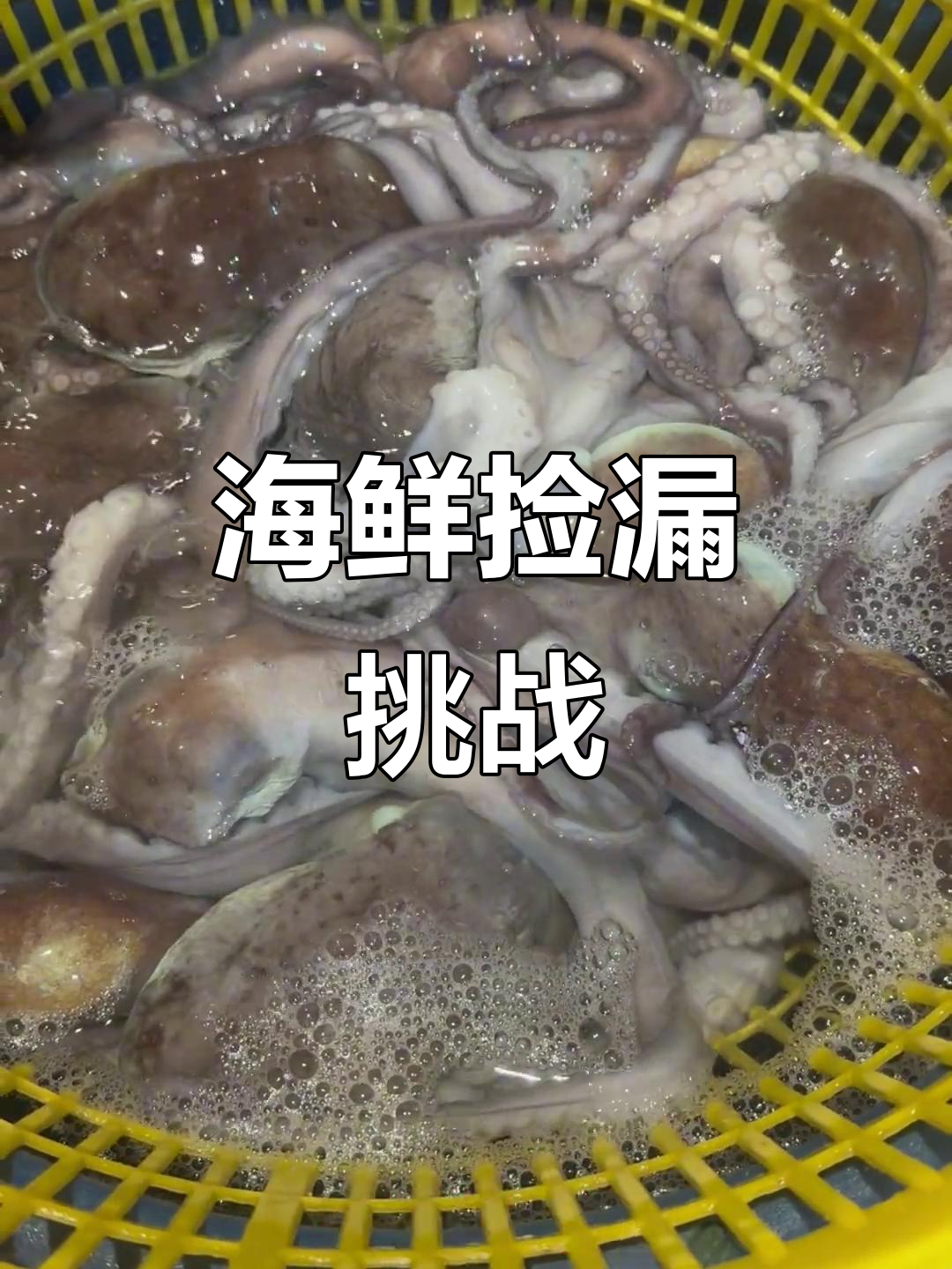 11月26日海鲜捡漏大挑战,石斑鱼海鲈鱼超值