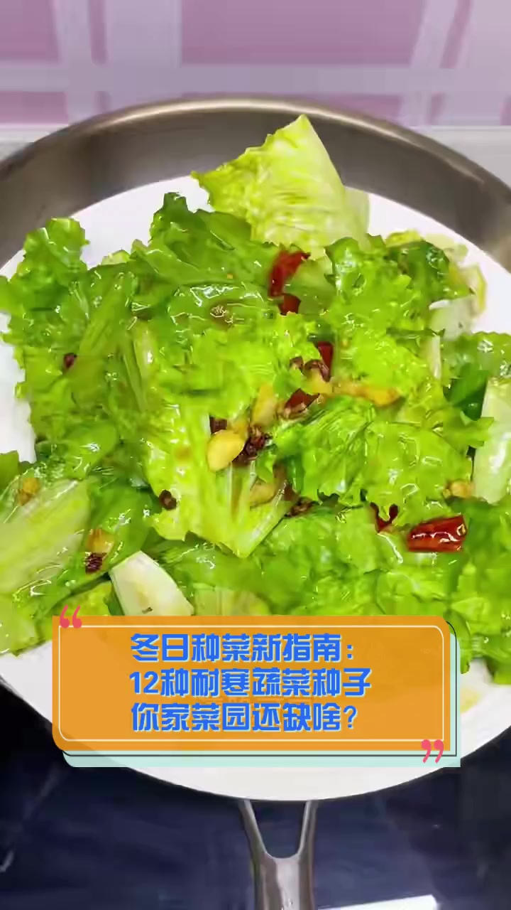 冬日种菜新指南:12种耐寒蔬菜种子,你家菜园还缺啥?