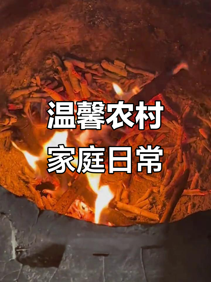 家人围桌包饺子,炭火温暖乡村生活