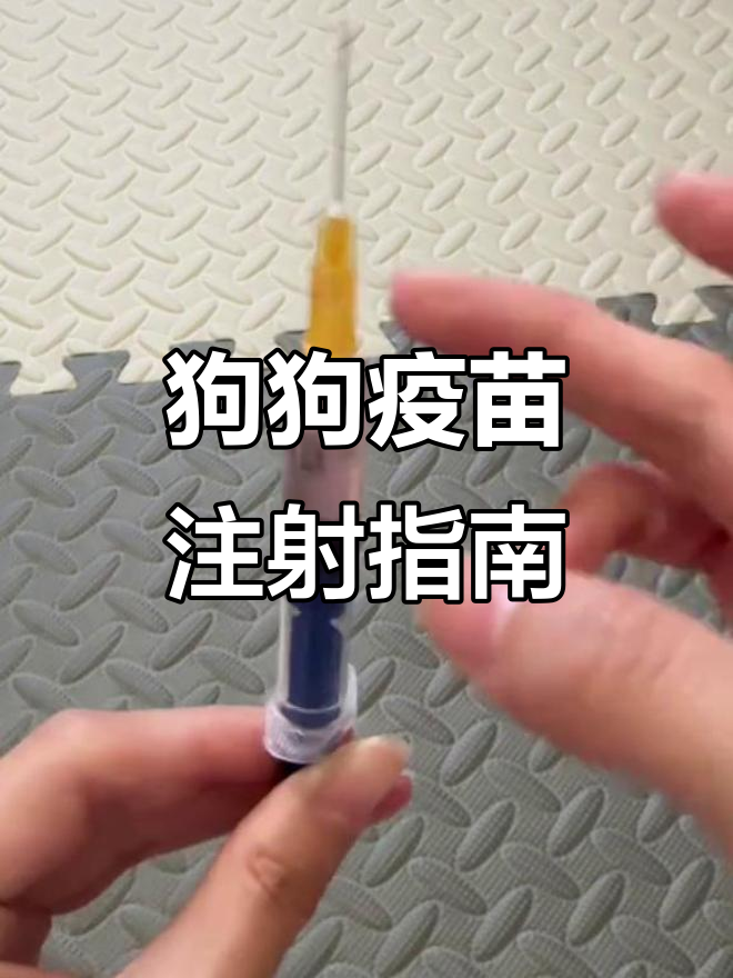 在家给狗狗打针?掌握技巧,轻松应对小包问题!
