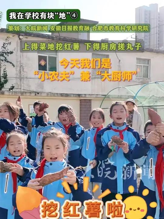 我在学校有块“地”④ 上得菜地挖红薯 下得厨房搓丸子 今天我们是“小农夫”兼“大厨师”  