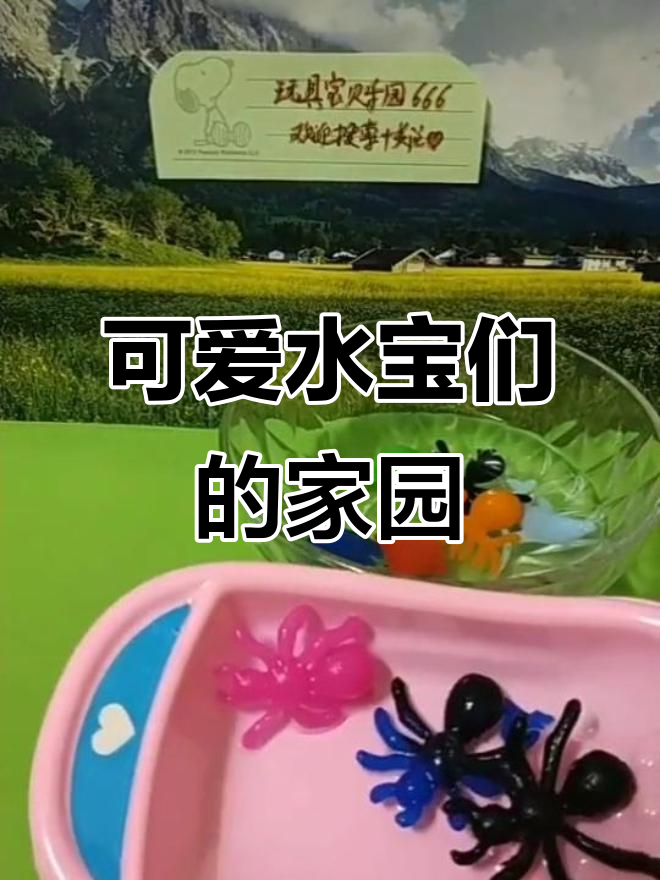 水宝宝们回家啦!小金鱼、海豚和黑蜘蛛都回到了水里