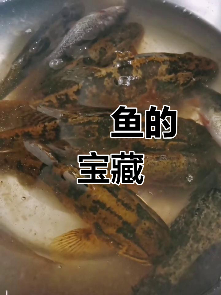 鮟鱇鱼全身皆宝,低脂高营养,对视力与肝脏有益