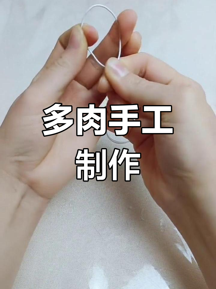 丝网多肉乒乓福娘制作教程