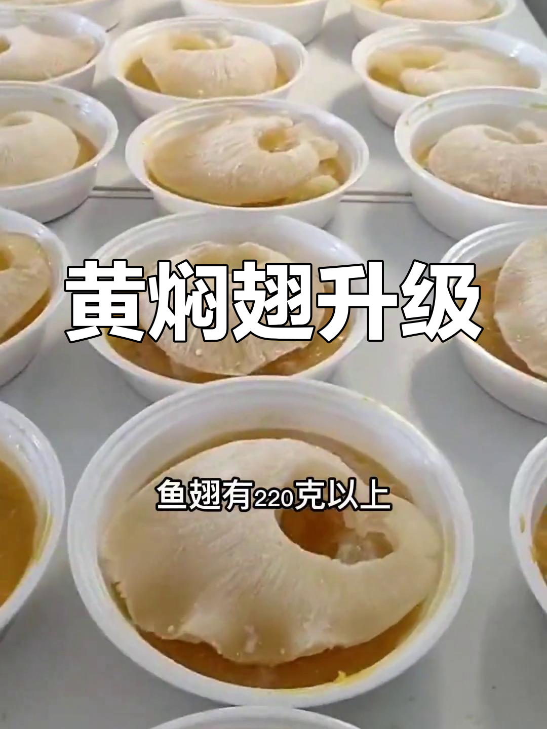 升级版黄焖翅,汤里外都有鱼翅,性价比超高!