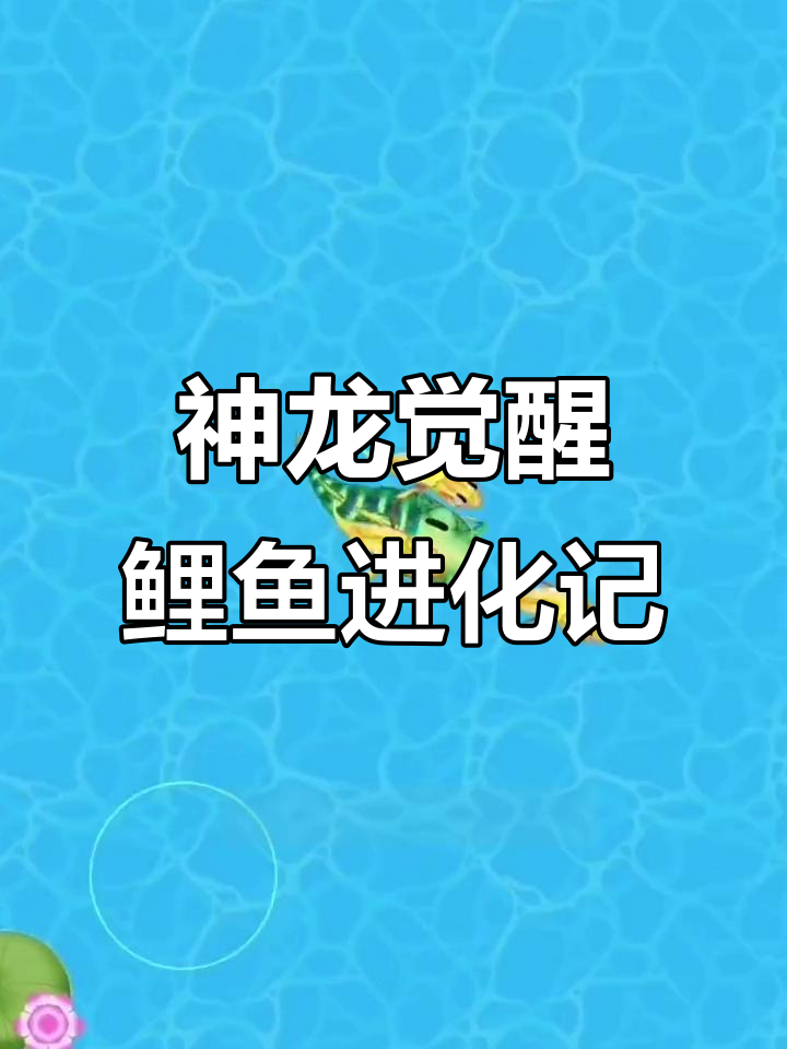 鲤鱼升级大作战,神龙降临前夕的疯狂挑战