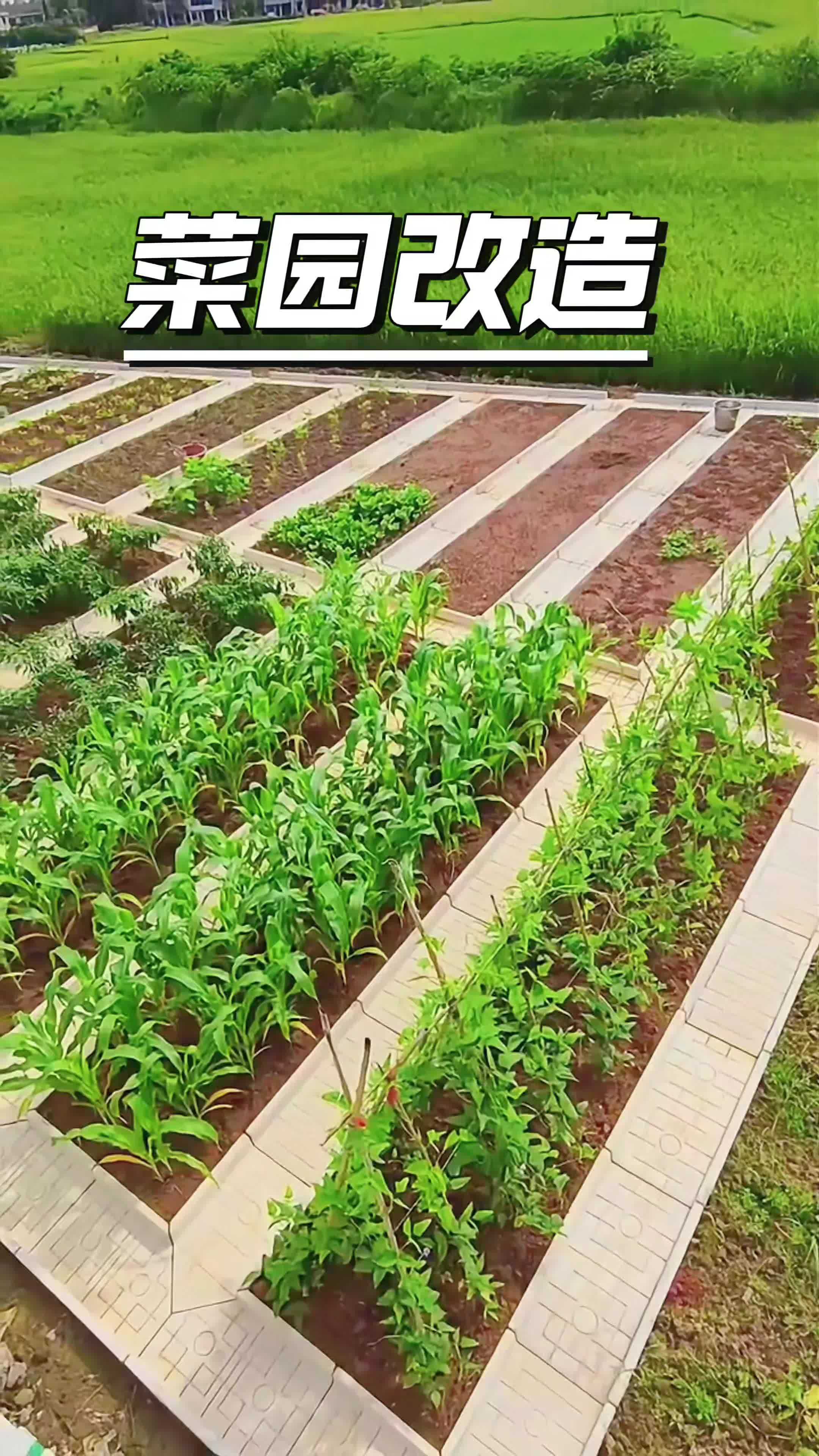 菜沟板 小院改造 庭院设计 菜地设计 新农人
