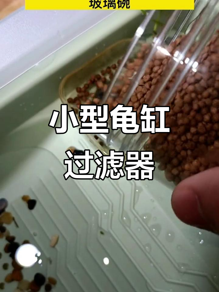 龟缸过滤一体，轻松分离便便，适合小乌龟