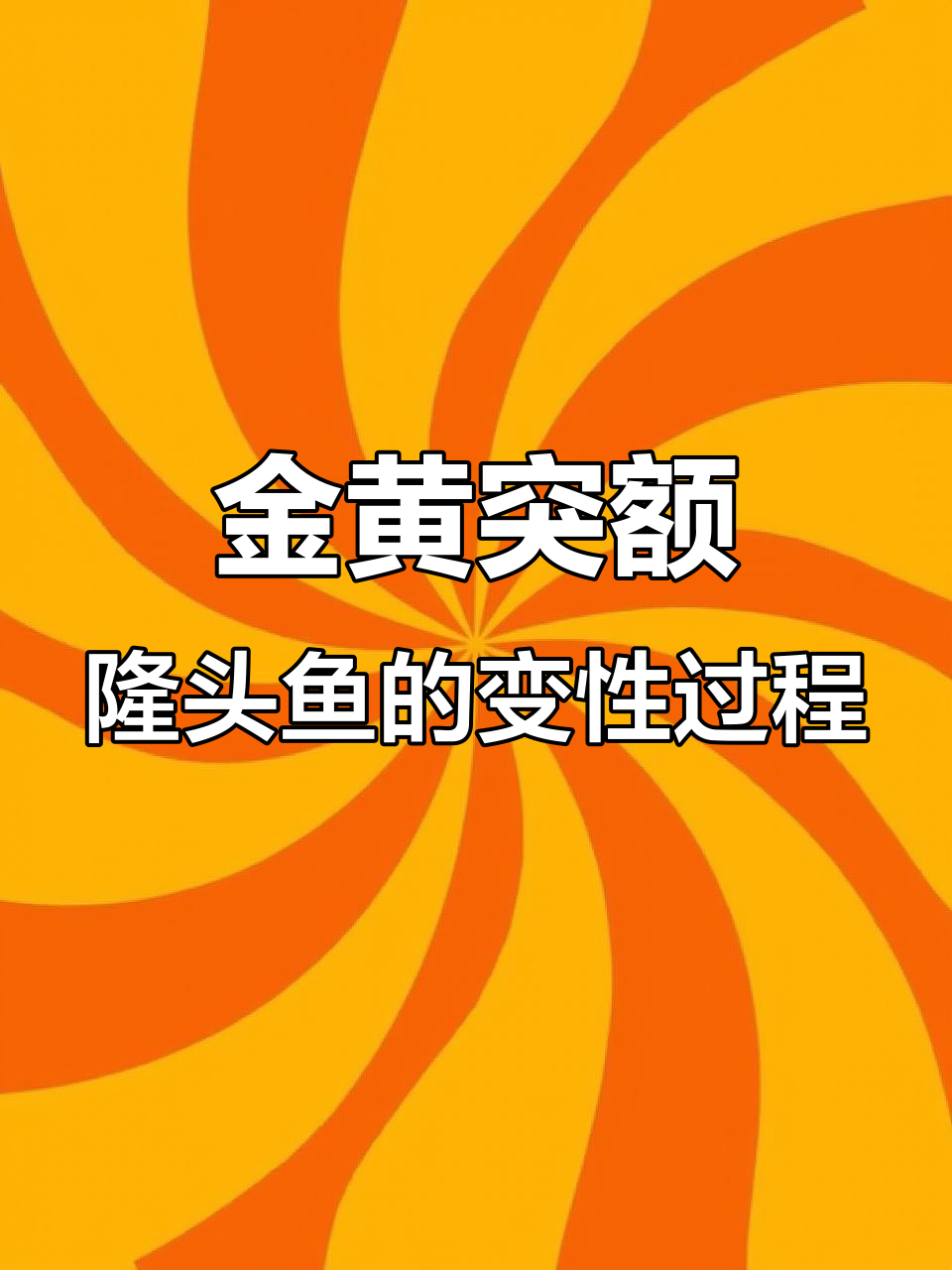雌鱼如何变身雄性?揭秘金黄突额隆头鱼的性别转变