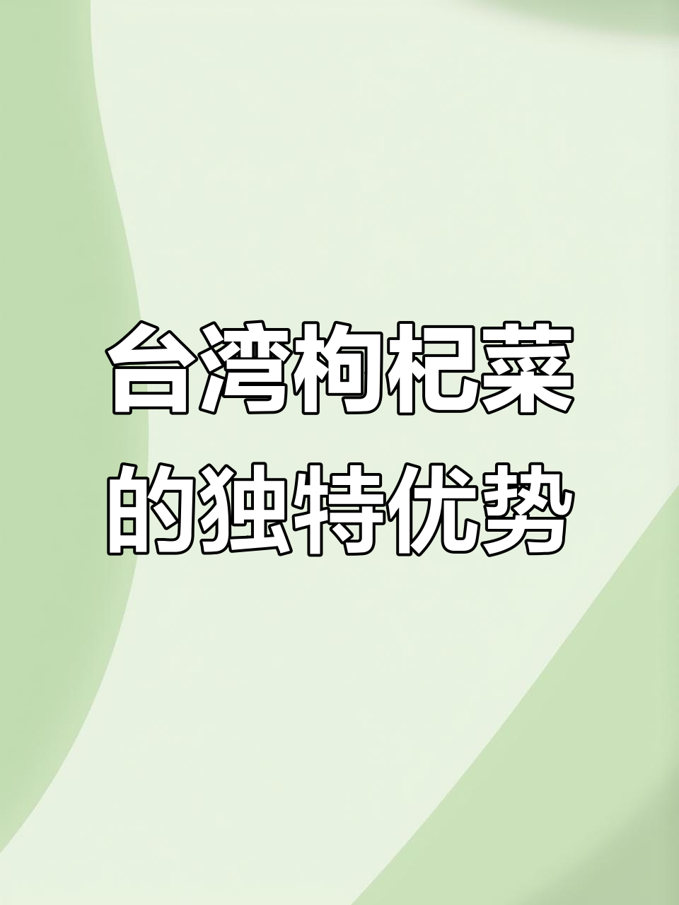 台湾枸杞菜：修剪扦插成活率高，口感滑嫩营养丰富