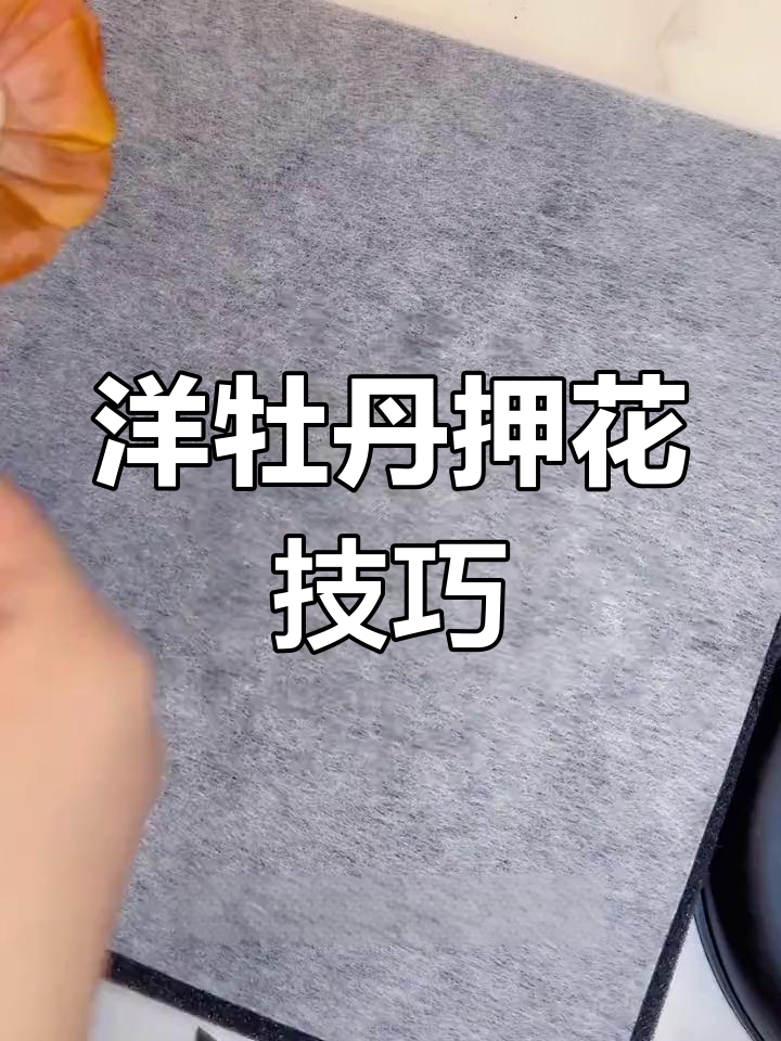 洋牡丹压花教程,轻松制作美丽干花