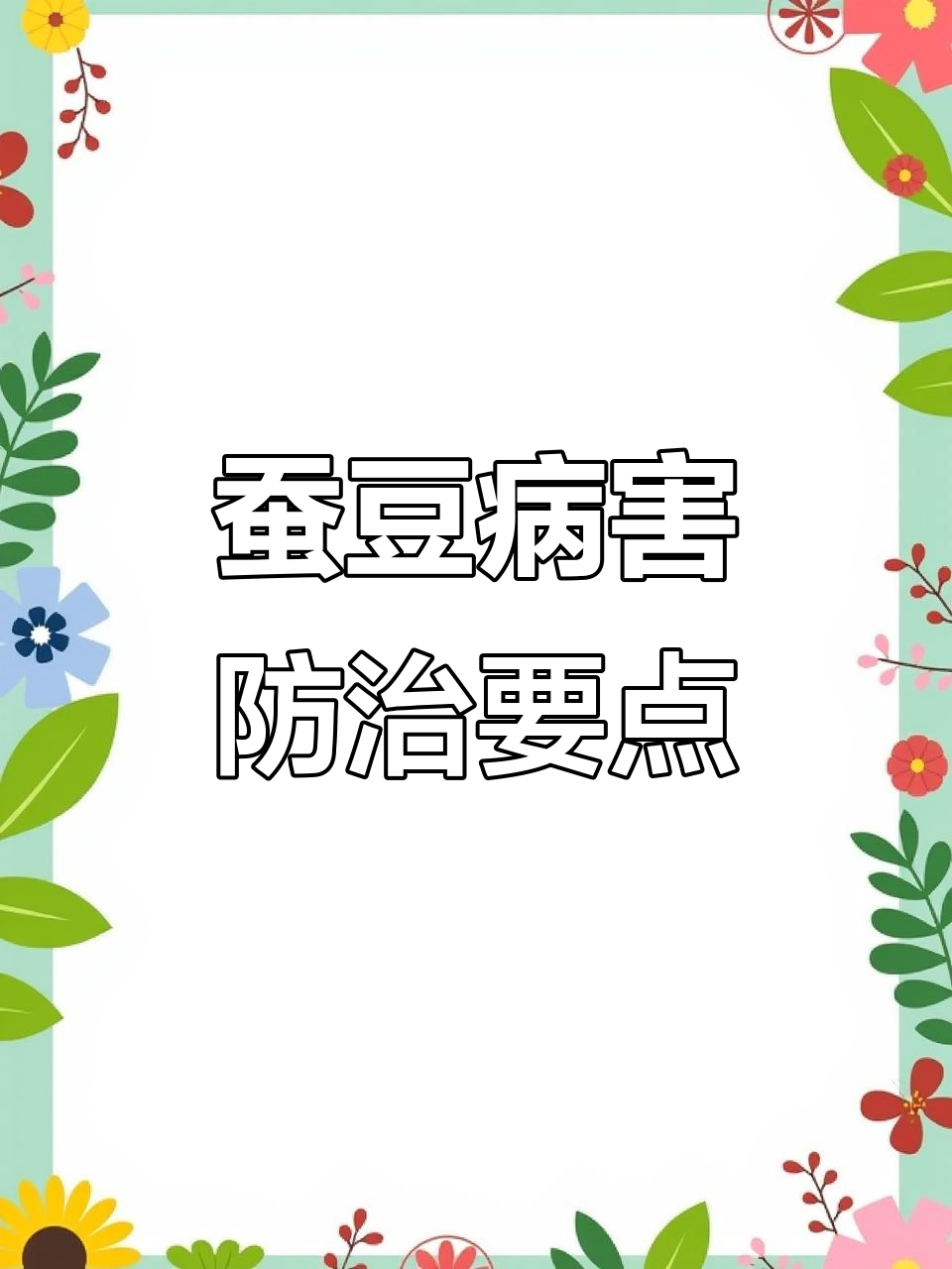 蚕豆防病关键时刻,农民朋友必看!