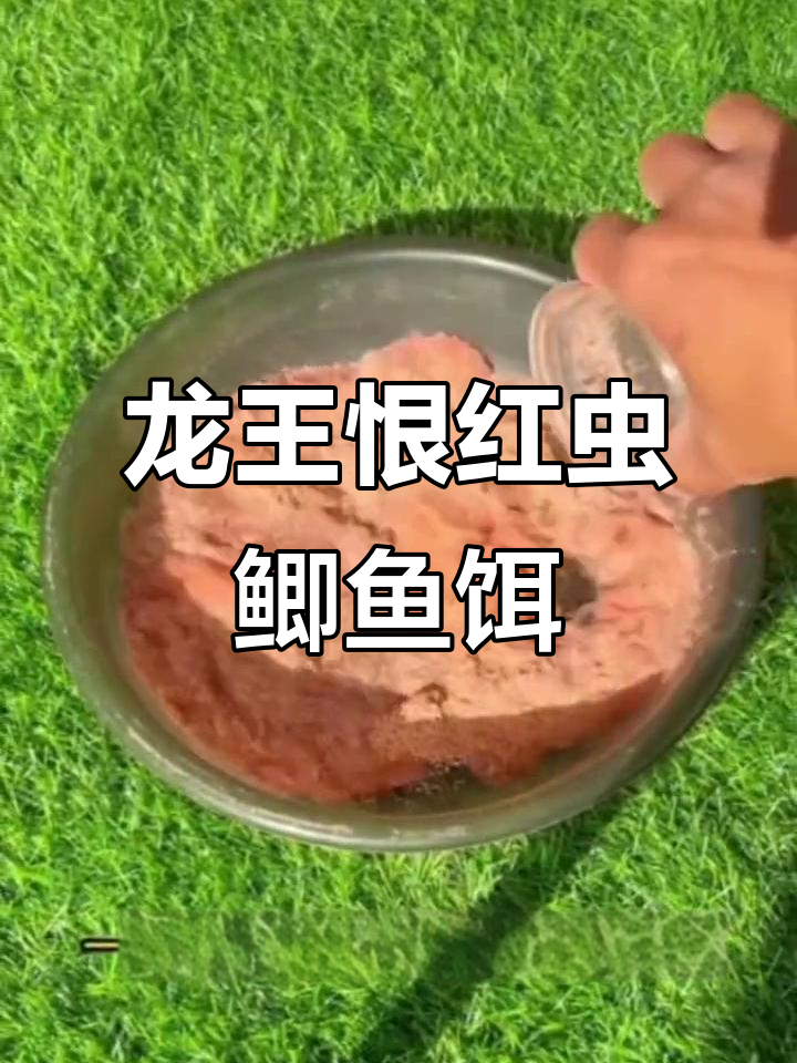 秋冬野钓必备!龙王恨红虫鲫鱼饵,诱捕大板鲫
