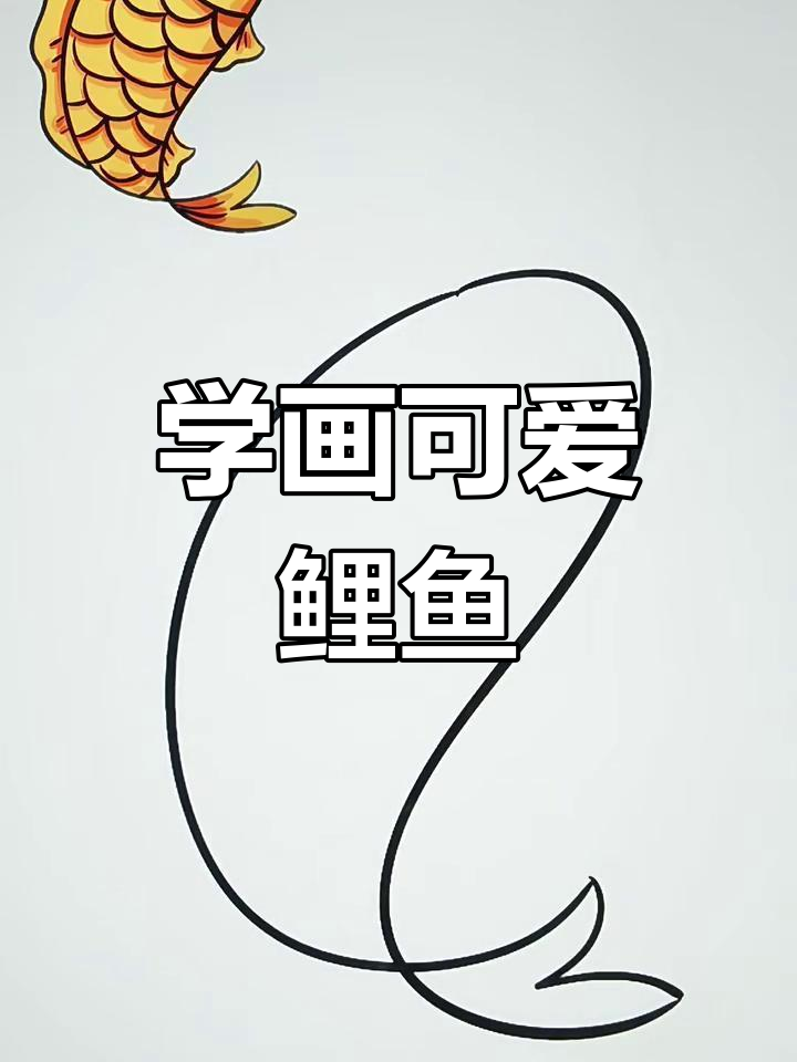 轻松学画鲤鱼,步骤简单又有趣