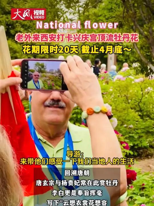 National flower 老外来西安打卡兴庆宫顶流牡丹花花期限时20天 截止4月底～