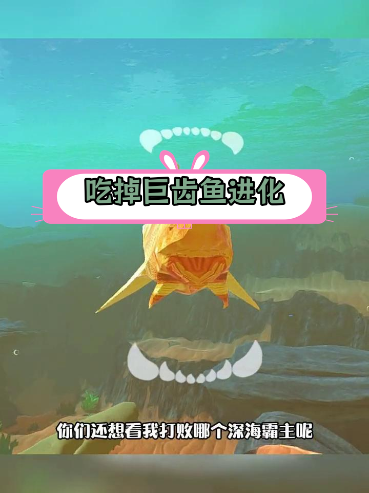 黄金鲨鱼进化之路:复仇与成长