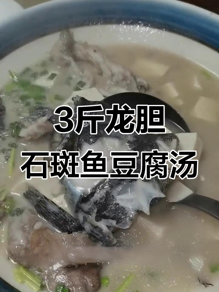 龙胆石斑鱼豆腐汤,简单又美味!