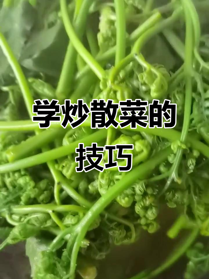 炒散菜小秘诀,学会这些让你秒变厨神!